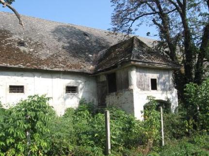 Magtár