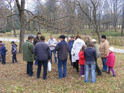 A dendrol&oacute;giai parkban
