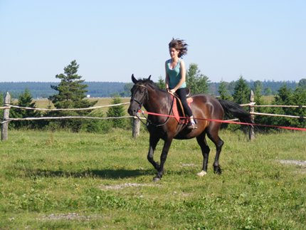 V&aacute;gta