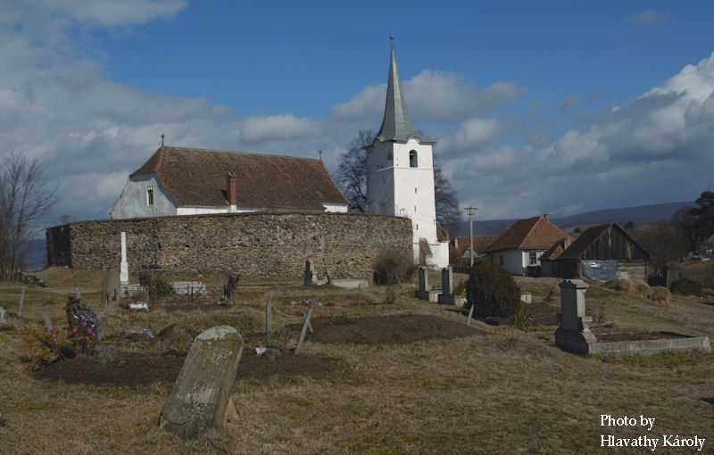 Égig érő gidófa